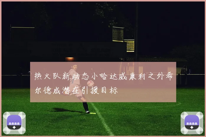 热火队新动态小哈达威康利之外希尔德成潜在引援目标